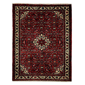 Hand-Knotted Persian Hamadan Rug (Traditional Intricate Garden Floral Medallion) – Red Wool