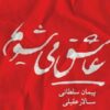We Fall In Love Music Album by Salar Aghili