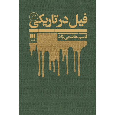 Elephant in the Dark Book by Ghasem Hashemi Nezhad