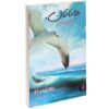 Jonathan Livingston Seagull Novel by Richard Bach