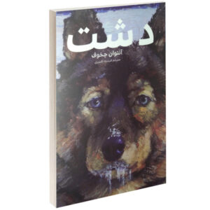 Plain Book by Anton Chekhov (Farsi Edition)