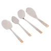 Set of Cutlery & Flatware 92 Pcs Model Achaemenes