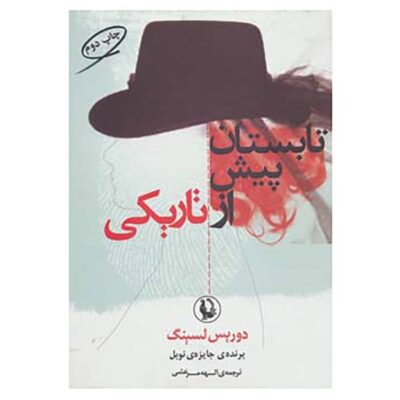The Summer Before the Dark Book by Doris Lessing