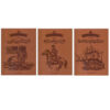 An Illustrated History of the United States by Fatemeh Shafiei
