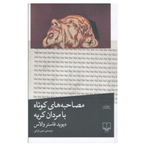 Brief Interviews with Hideous Me by David Foster Wallace