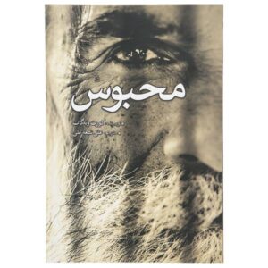 Jailbird Novel by Kurt Vonnegut (Farsi Edition)