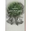 The Baron in the Trees Novel by Italo Calvino (Farsi)