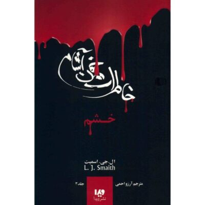 The Vampire Diaries: The Fury Book by L. J. Smith