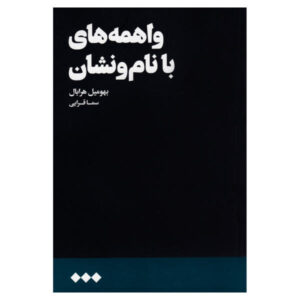 Total Fears: Letters to Dubenka by Bohumil Hrabal