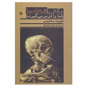 When You Are Engulfed in Flames Book by David Sedaris