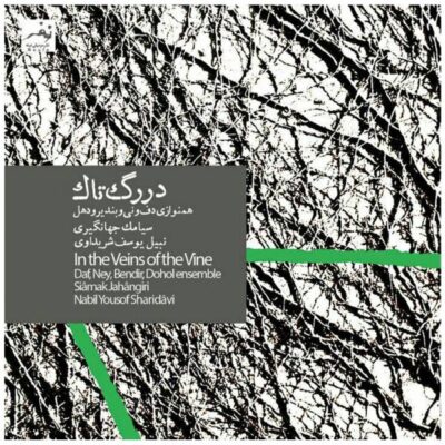 In the Veins of the Vine Music Album By Siamak Jahangiri