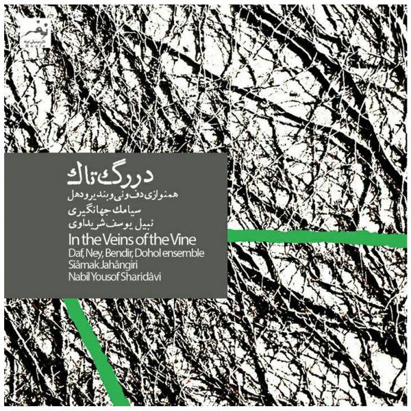 In the Veins of the Vine Music Album By Siamak Jahangiri