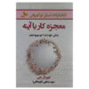 Mirror Work: 21 Days to Heal Your Life by Louise Hay (Farsi)