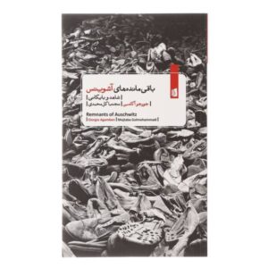 Remnants of Auschwitz Book by Giorgio Agamben