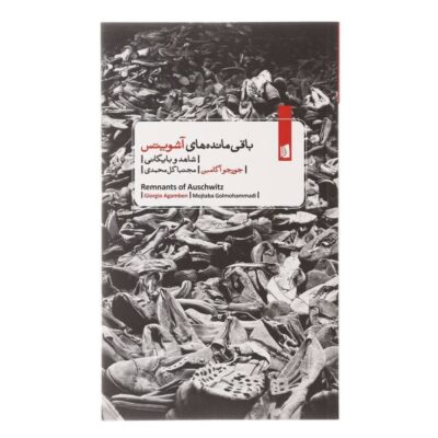 Remnants of Auschwitz Book by Giorgio Agamben