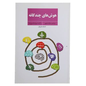 Multiple Intelligences in Practice Book by Mike Fleetham