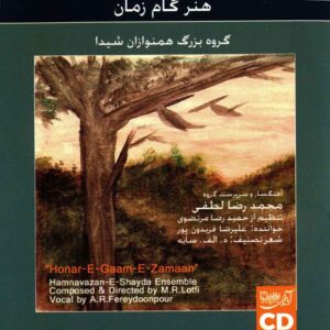 Hamnavazan-E-Shayda Ensemble by Mohamadreza Lotfi