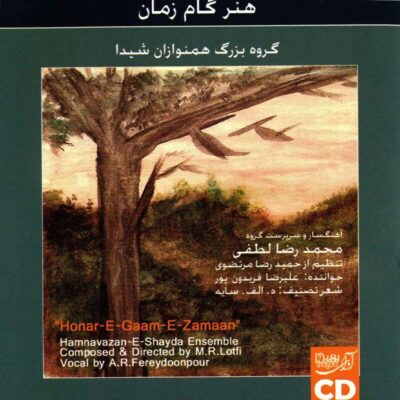Hamnavazan-E-Shayda Ensemble by Mohamadreza Lotfi