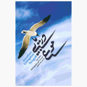 The Seagull Play by Anton Chekhov
