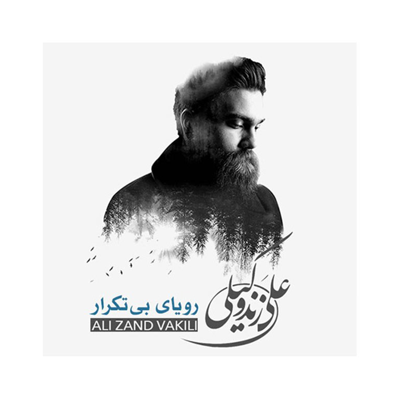Non Recurring Music Album by Ali Zande Vakili