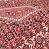 Hand-Knotted Persian Bijar Toranj Runner Rug (Traditional Mahi Medallion / Herati) - Red Wool