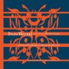 From Beyond Music Album by Ramtin Nazari Joo