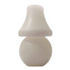 Salt Lamp - Handcrafted Design Lampshade