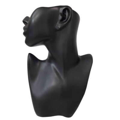 Novelty Jewelry Holder and Organizer Model Rokh