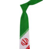 Men's Necktie - Persian Inspired Artistic with Iran's Flag Design