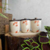 Ceramic Canister Set - Ideal for Kitchen Storage & Organization, Spring (3x)