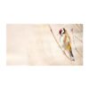 Original Realism Art Painting - Oil on Cardboard, Bird