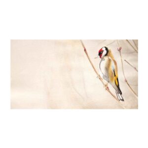 Original Realism Art Painting – Oil on Cardboard, Bird