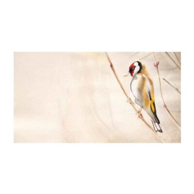 Original Realism Art Painting - Oil on Cardboard, Bird