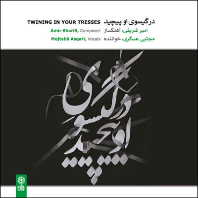 Twining In Your Tresses Album by Mojtaba Asgari