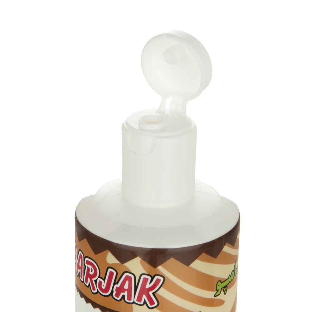 Parjak Argan Shampoo for All Hair Types – Moisturizing & Repairing (Pack of 4)