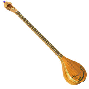Expert Persian Setar by Iransaz, Model Shahnavaz