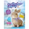 Lucy Longwhiskers Gets Lost by Daisy Meadows