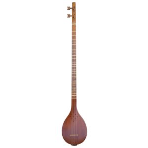 Intermediate Persian Setar by Hesam Malekshahi