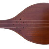 Intermediate Persian Setar by Hesam Malekshahi