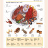 Korean - Persian Visual Dictionary by Zahra Yousefi Rad