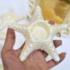 Haftseen Set Dishes with Mirror suitable for Nowruz Sea (9 Pcs)