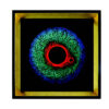 Persian Canvas Art - Printed Cheshm Nazar