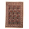Hand-Knotted Persian Birjand Nour Rug (Traditional Bakhtiari Garden Khesti) - Brown Wool