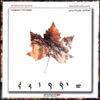 My Autumn Music Album by Alireza Heidari