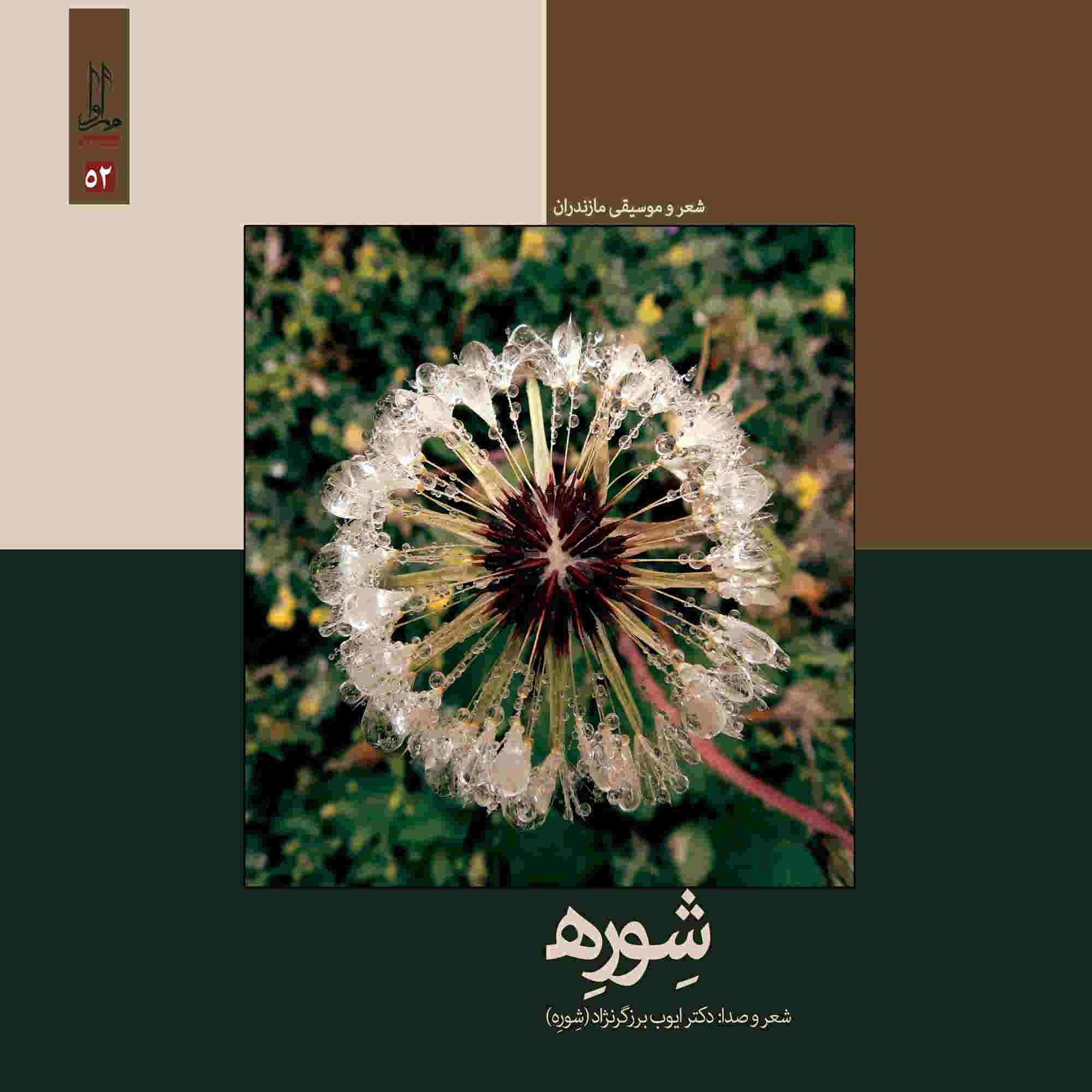 Shevreh Music Album by Ayub Barzegar Nejad