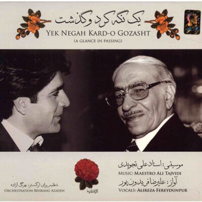 Yek Negah Kard-o Gozasht by Alireza Fereydunpur