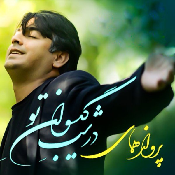 On The Night of Your Hairs Album by Parvaz Homay
