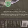 Dolmeh - Persian Stuffed Grape Leaves Delight, Canned (Pack of 5)