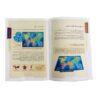 Risk Board Game (Farsi)