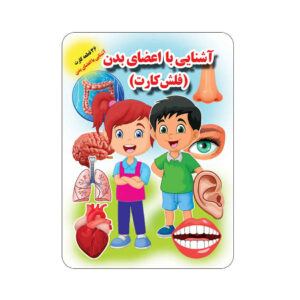 Flashcards for Learning about Body Parts (Farsi)